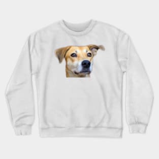 dog face Crewneck Sweatshirt